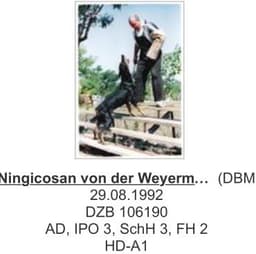 Ningicosan Von Der Weyermuhle