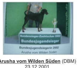 Arusha vom Wilden Süden