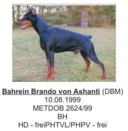 Bahrein Brando Von Ashanti