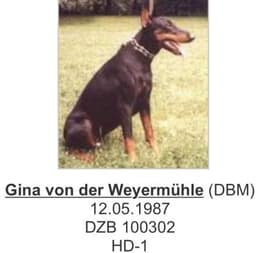 Gina Von Der Weyermuhle