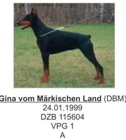 Gina Vom Markischen Land