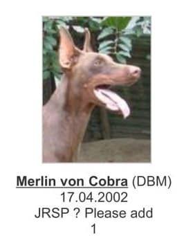 Merlin Von Cobra