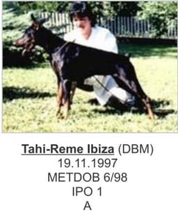 Tahi-Reme Ibiza