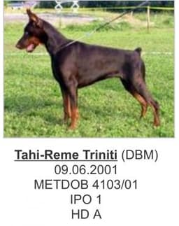 Tahi-Reme Triniti