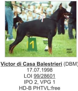 Victor Di Casa Balestrieri